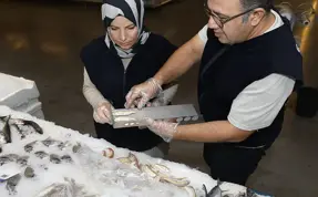 Diyarbakır’da balık satış yerleri denetlendi