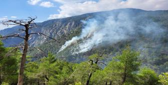 Burdur'da çıkan orman yangını kontrol altına alındı