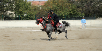 Atlı Cirit 1. Lig D Grubu müsabakaları Kayseri'de tamamlandı
