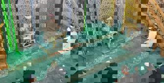 Erzurum, Erzincan, Ağrı, Kars ve Ardahan'da Gazze için dua edildi