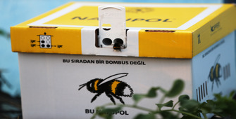 Mavi renkli seralarda bombus arılarıyla verimin arttırılması amaçlanıyor