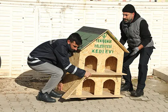 Diyarbakır'da sahipsiz hayvanlar için kedi ve köpek evi yapıldı
