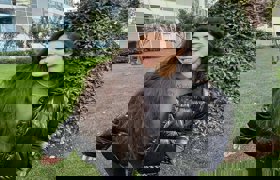 Eski eşini kurşunlattıran fenomen şoke etti