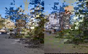 Görüntü kirliliği oluşturan ağaçlar belediye tarafından budandı