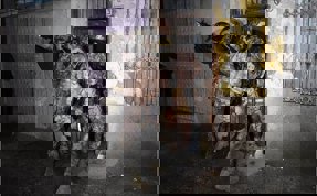 Terör örgütlerine darbe; 16 gözaltı