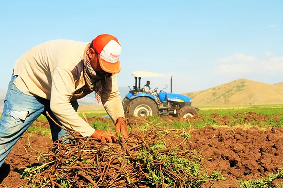Çiftçi borçları ertelendi