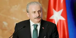 Şentop, Cumhurbaşkanı Erdoğan'ın adaylığına yönelik itirazları değerlendirdi