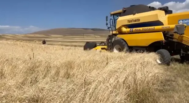 (Video) Çiftçilere destek ödemeleri yapılıyor