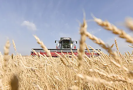 Kuraklık riskine alarm