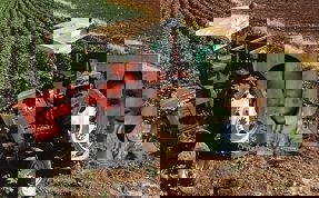 Şanlıurfa'da devrilen traktörün altında kalan çocuk öldü