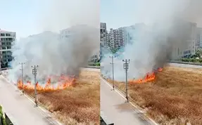 Diyarbakır'da sitelerin arasındaki otlukta yangın