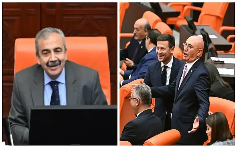Meclisi Sırrı Süreyya Önder yönetiyor: Mahmut Bey dur hele daha Bismillah dedik