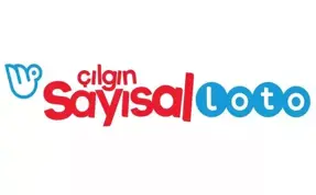 Çılgın Sayısal Loto'da dev ikramiye sahibini buldu