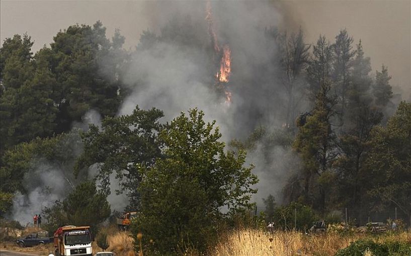 (Video) Yunanistan'da orman yangını