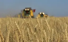 (Video) Rusya, tahıl anlaşmasına dönmek için 7 şartını açıkladı