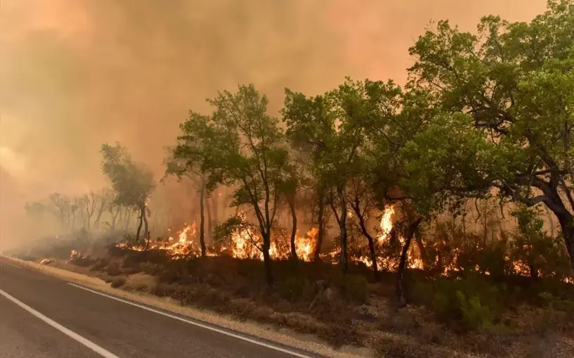 Akdeniz’deki orman yangınları