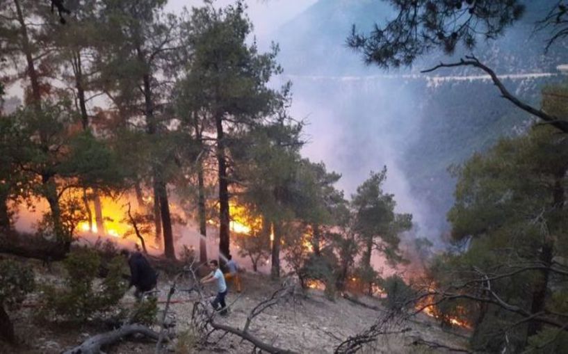 (Video) Bolu’daki orman yangınına müdahale devam ediyor
