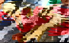 Antalya'da bitkin halde bulunan leylek tedaviye alındı