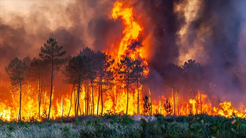Orman yangınlarının nedenleri: İhmal, dikkatsizlik ve kaza
