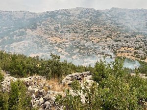 (Video) Diyarbakır'ın Hani ilçesinde çıkan orman yangını söndürüldü