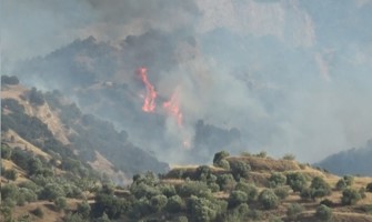 Manisa’da orman yangını havadan ve karadan müdahaleyle söndürüldü