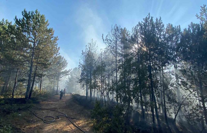 Kastamonu’da orman yangını