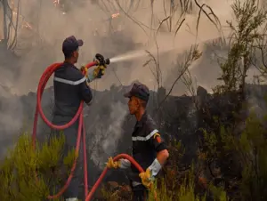 Fas'ın kuzeyinde üç gündür devam eden orman yangınını söndürme çalışmaları sürüyor