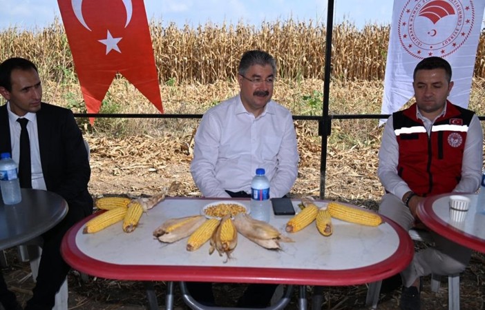 Osmaniye mısır üretiminde Türkiye’de 6. sırada