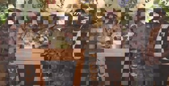 (Video) Gabon’da askerler, yönetimi ele geçirdiklerini duyurdu