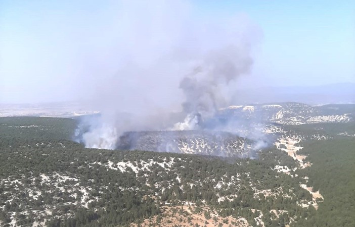 Kütahya’daki orman yangınında 35 hektar yandı