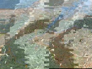 Muğla'da çıkan orman yangınına müdahale ediliyor