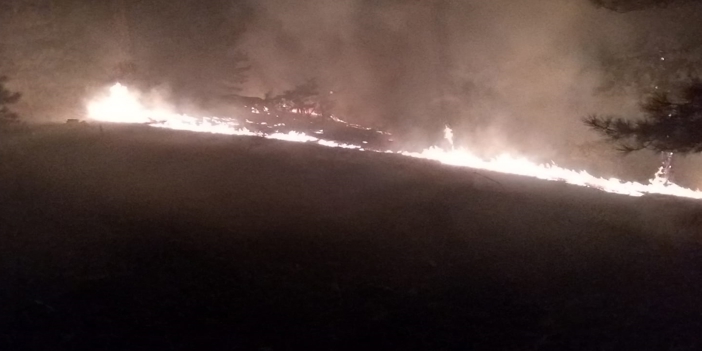 (Video) Köyceğiz'de orman yangını