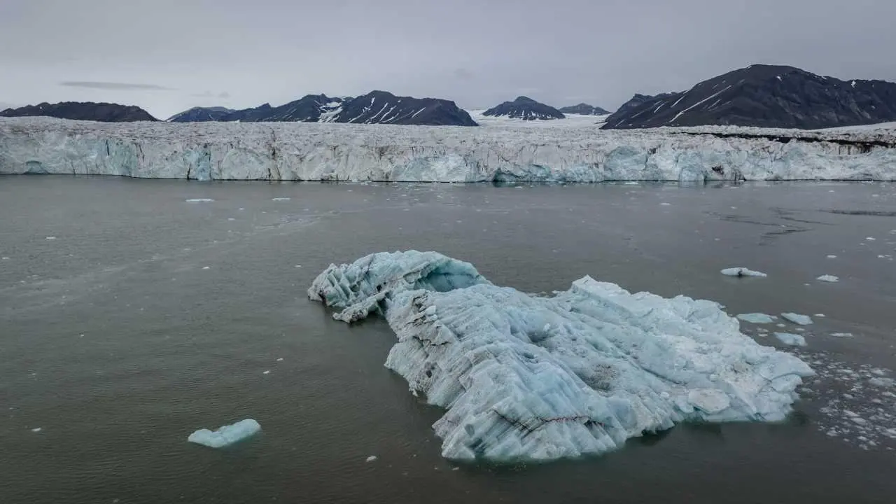 Antarktika'da, araştırmacıların şort giymesine sebep olan sıcaklıklara ilişkin araştırma yayımlandı