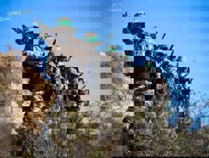 Mısır Kızılayı kritik açıklama