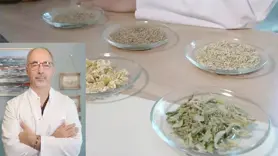 ‘Bitki çayları sindirim sistemi sağlığına katkı sağlıyor’