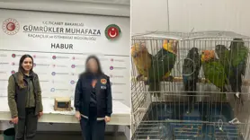 Habur Sınır Kapısı'nda 6 adet 