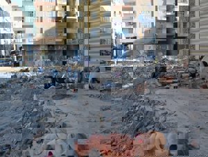 Kaçak binanın müteahhidi yargı karşısında