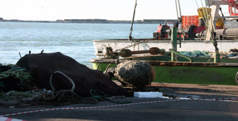 Zonguldak'ta balıkçıların ağına deniz mayını takıldı