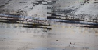 Muğla'da sağanak etkili oluyor