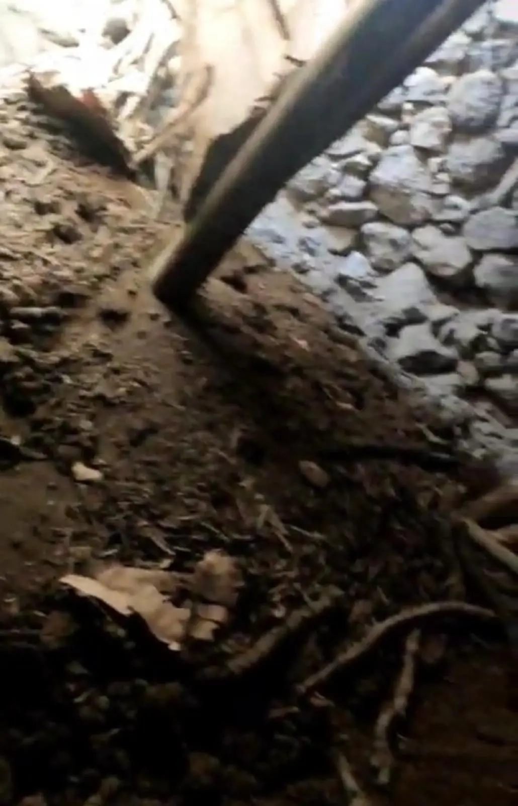 Diyarbakır’da ahırın tavanı çöktü, keçiler altında kaldı