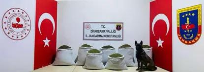 Diyarbakır’da 129 kilo toz esrar yakalandı