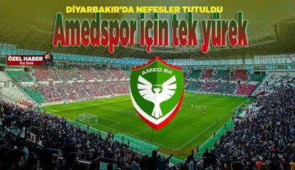 Amedspor maçında 23 bini aşkın bilet satıldı, Diyarbakır tüm gücüyle takımının yanında Down Sendromlu Berfin'de sahada