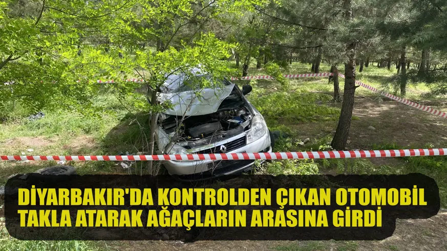 Diyarbakır'da kontrolden çıkan otomobil takla atarak ağaçların arasına girdi