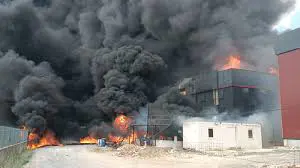 Türkiye'de yangın krizi! Tekirdağ'da fabrika yangını