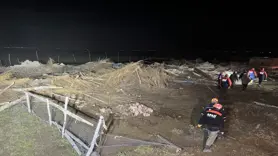 Ağıl çöktü: 50 küçükbaş telef oldu