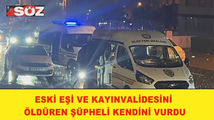 Eski eşi ve kayınvalidesini öldüren şüpheli kendini vurdu