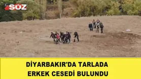 Diyarbakır'da tarlada erkek cesedi bulundu