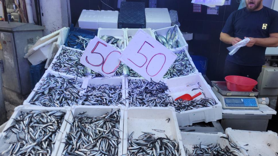 Karadeniz hamsisi tezgahları doldurdu