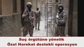 Suç örgütüne yönelik  Özel Harekat destekli operasyon