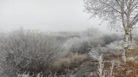 Göle eksi 13 derece, ağaçlar kırağı tuttu